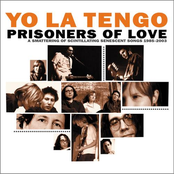 Mr. Ameche Plays The Stranger by Yo La Tengo