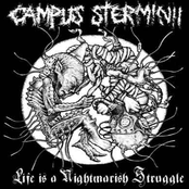 Life is a nightmarish struggle