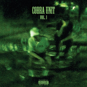 Cobra Unit vol. I