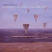 Scuba Presents Hotflush, Vol. 1: The Formation Years