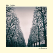 The Feelies: In Between