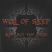 I Sleep by Wall Of Sleep