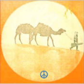 Live Small Party Huge (Live) - Single