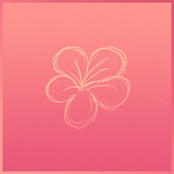 Blossom