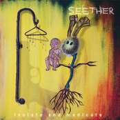 Watch Me Drown by Seether