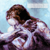 Blindfolded and Led to The Woods: Rejecting Obliteration