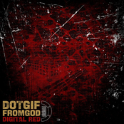 .GIF From God: a kiss for every hornet