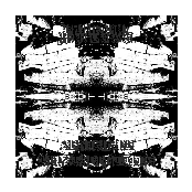 SCREAMING CONSTELLATIONS