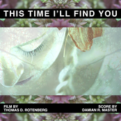 This Time I'll Find You