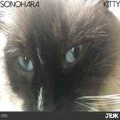 Kitty