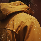 Rainy Streets of Inspiration