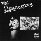 the liquidators