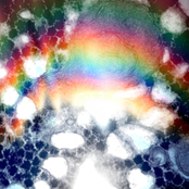 The Three Braces Of Naiveté (Pregnant Spore/Dementia And Hope Trails/Inappropriate King Live split 3xCDr) (A Beard Of Snails)