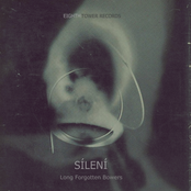 Long Forgotten Bowers