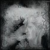 Les Visages de Marbre