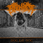 Backbiter: Dog Eat Dog