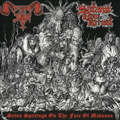 Seven Spittings on the Face of Madonna