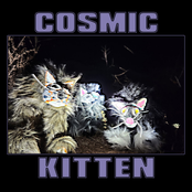 Cosmic Kitten