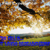 Stem Cells... But Who's Researching?