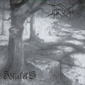 Throndt / Idhafels (Split)