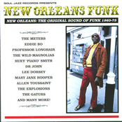 New Orleans Funk: The Original Sound of Funk 1960-1975