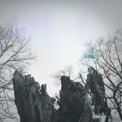 Everything Is Moving, But Not The Sky