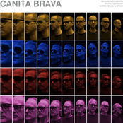 Canita Brava