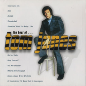 If I Ruled The World by Tom Jones