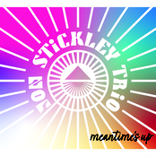 Jon Stickley Trio: Meantime's Up