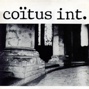 Coпtus Int.