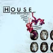 House MD Soundtrack: Season 2