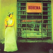 Ginger by Bohema