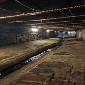 I Really Need Some Money :(((