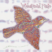 Widespread Panic: 'Til the Medicine Takes