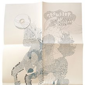 Dived In a Microphone Universe