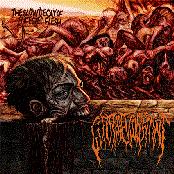 The Slow Decay Of Infested Fl