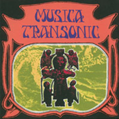 Introducing Musica Transonic