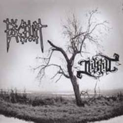 Marat/Facelift-Split