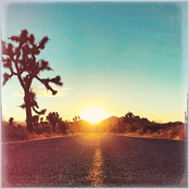 Duane Betts: Colors Fade