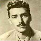 dariush rafiee