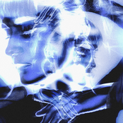 (I'm in the Palm of Your Hand)