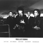 I Gave You My Hair Doo by Wall Of Voodoo