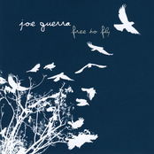 Free to Fly