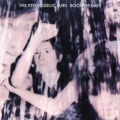 The Psychedelic Furs - Book of Days Artwork