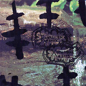 Royallen / Xiphiidae