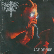 Age Of Fire