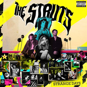 The Struts: Strange Days