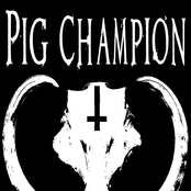 pig champion