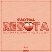 Guaynaa: Rebota (Remix)