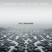 Still Dreaming (feat. Ron Miles, Scott Colley & Brian Blade) Album Picture